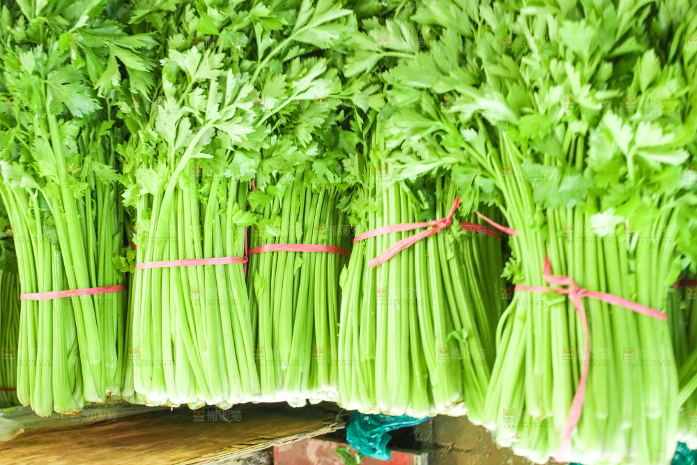 一堆新鲜芹菜
