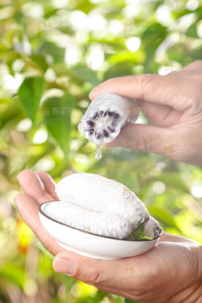 手里拿着新鲜八月瓜