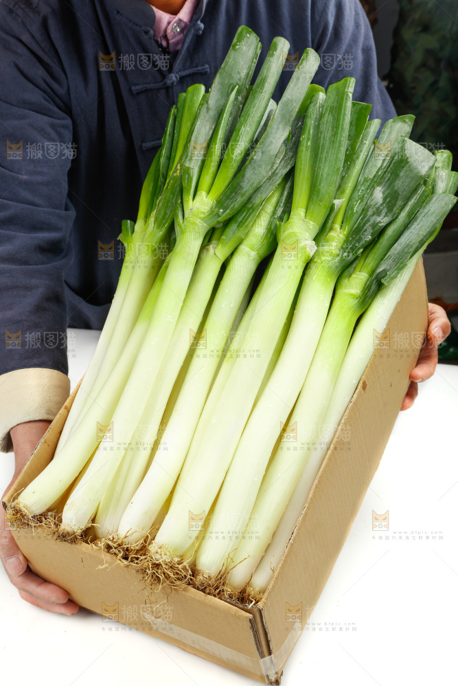白底上的大葱