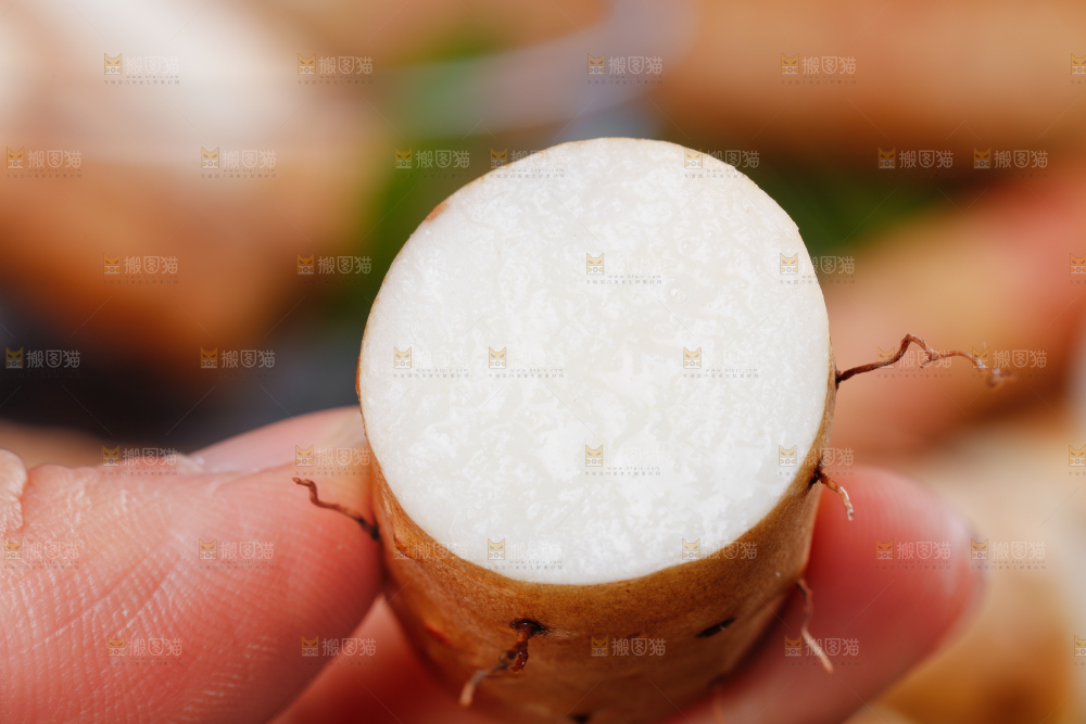 手里拿着新鲜山药