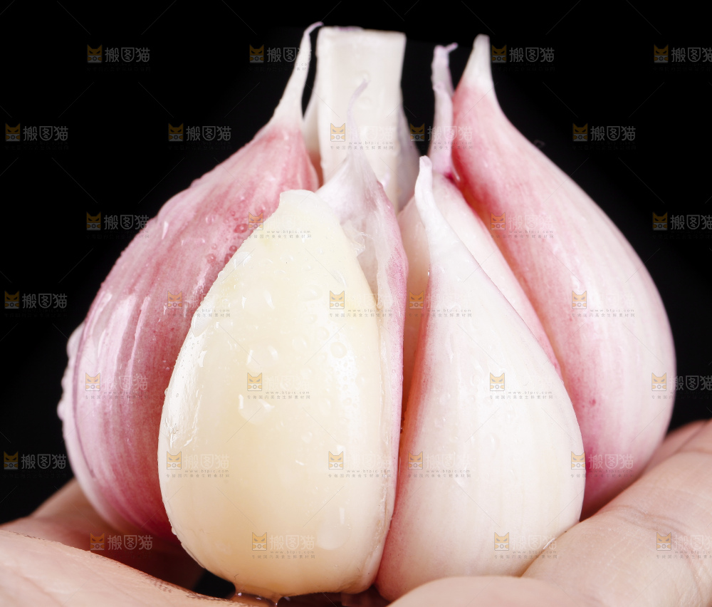 手拿新鲜紫皮大蒜