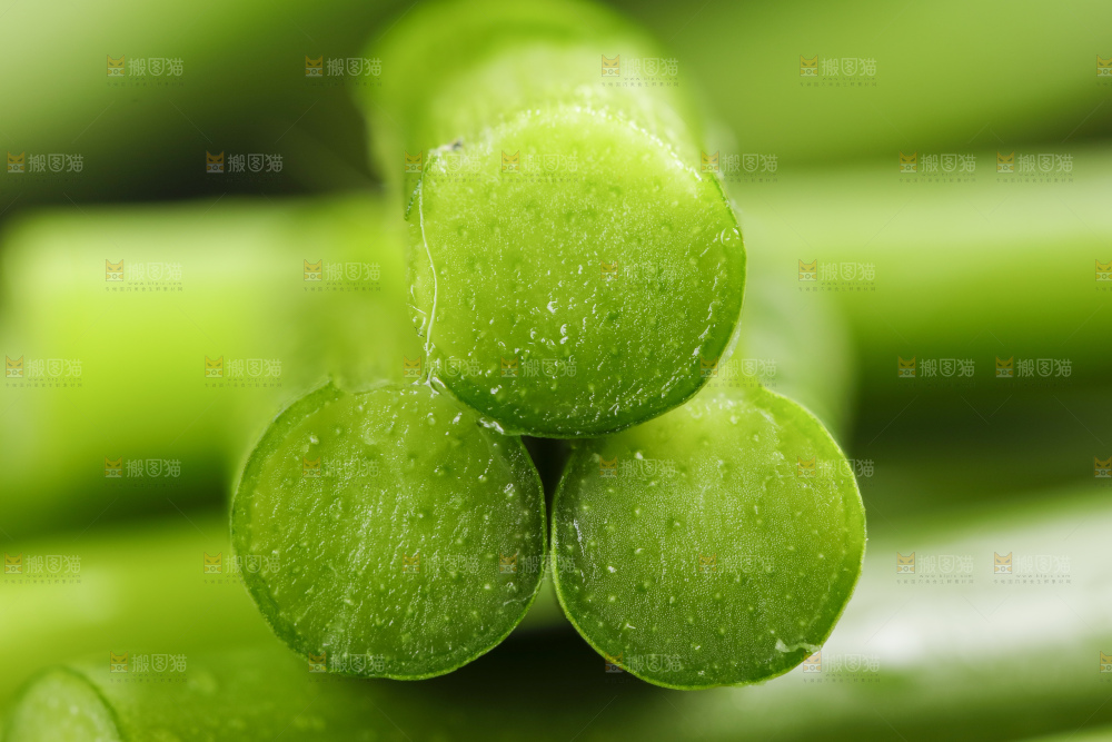 黑底上放着新鲜蒜苔
