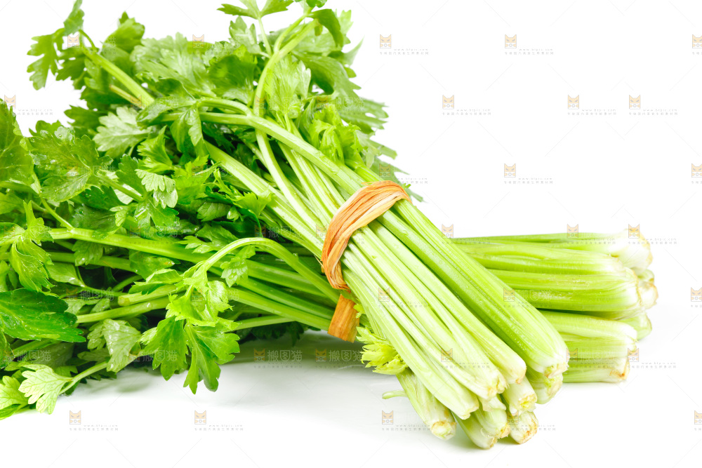 白底上放着芹菜