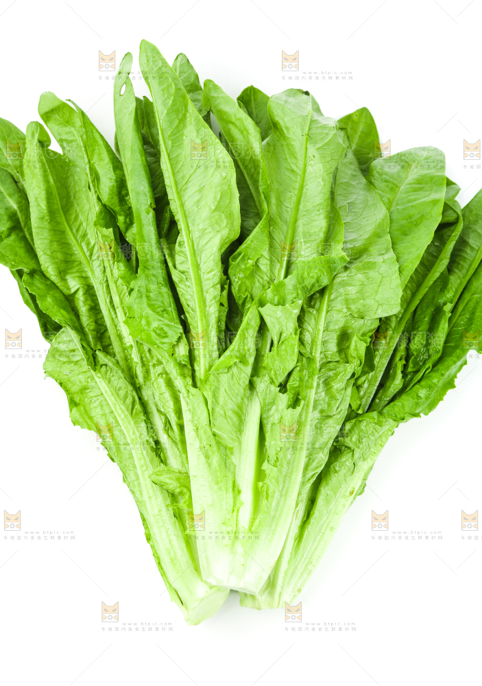 白底上的嫩油麦菜