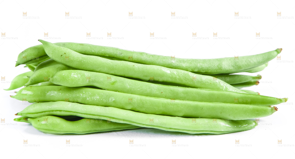 新鲜陕西四季豆放在白底上