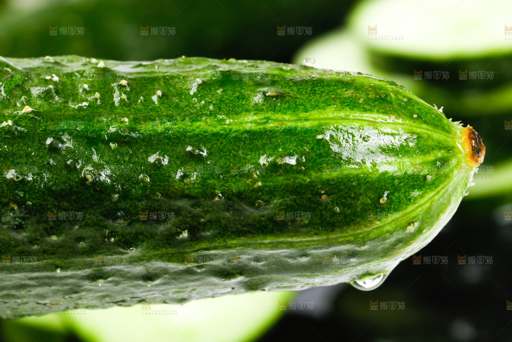 白底上放着黄瓜