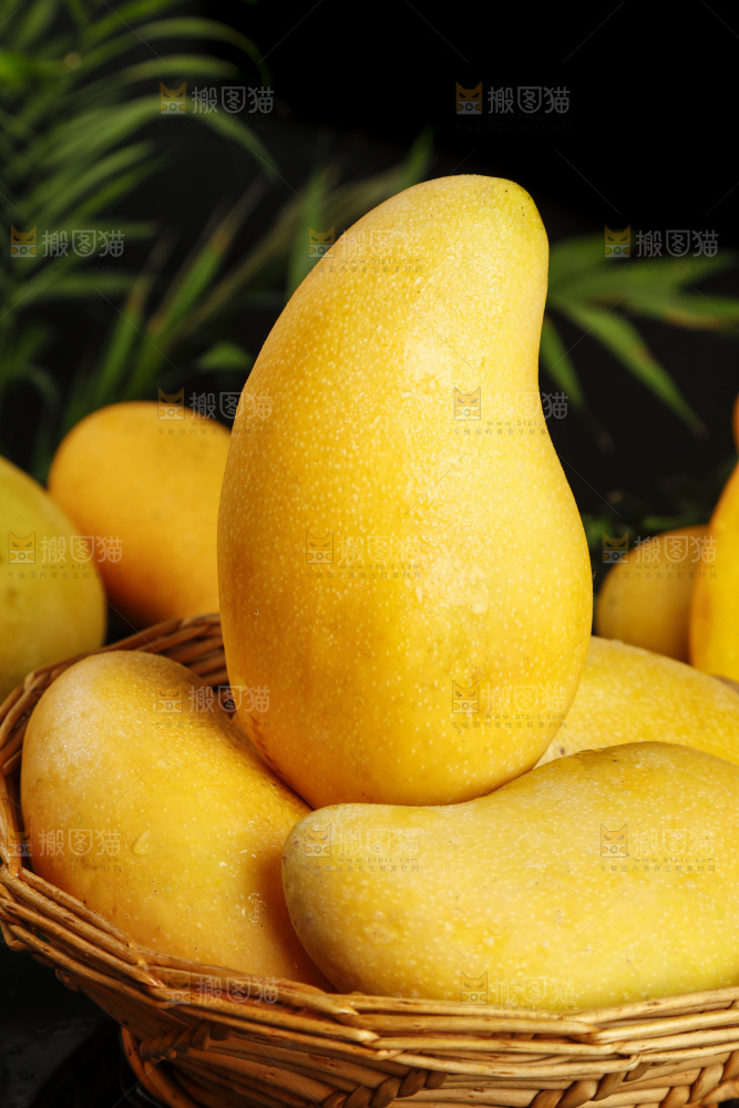 黑底上放着一筐新鲜的水仙芒