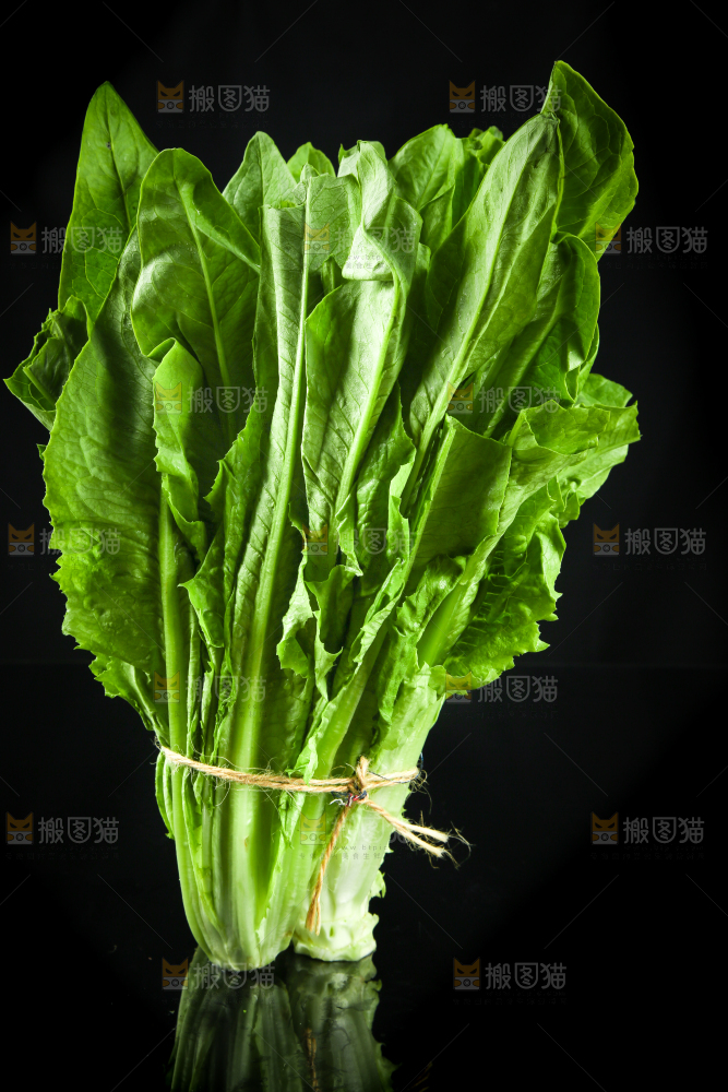 黑底上的油麦菜