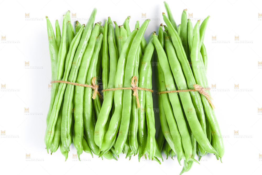 新鲜陕西四季豆放在白底上