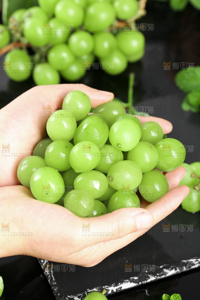 手里拿着无籽青提
