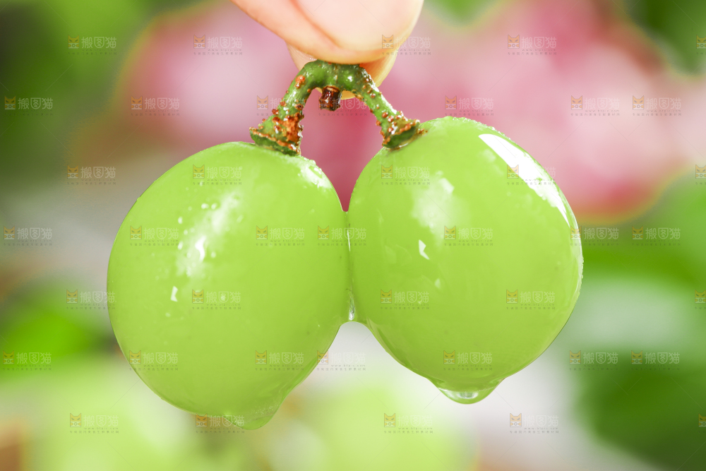 手里拿着阳光玫瑰