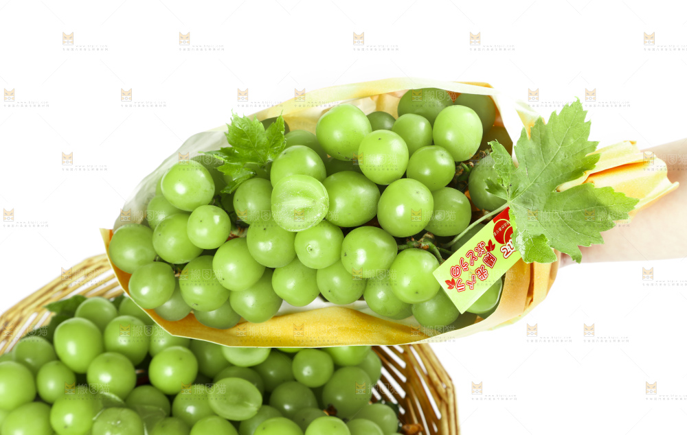 手里拿着无籽青提