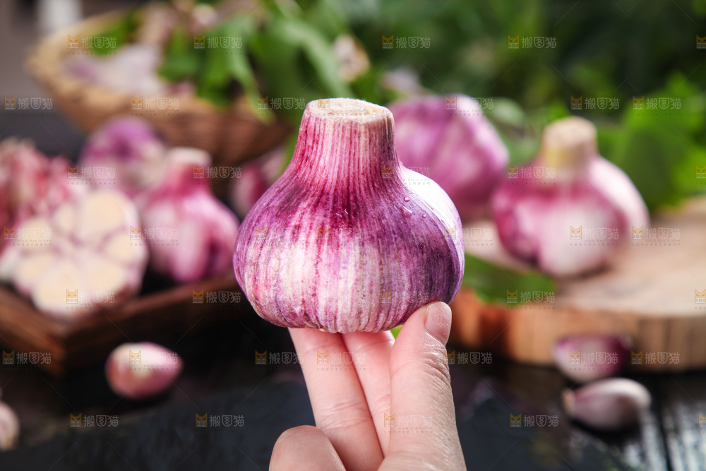 手里拿着紫皮大蒜