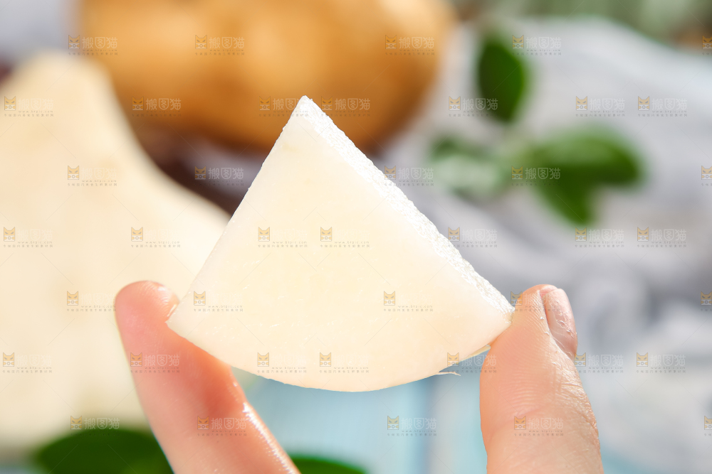 手里拿着广西白凉薯