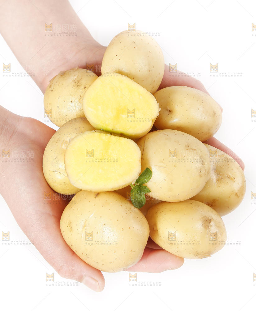手里拿着土豆