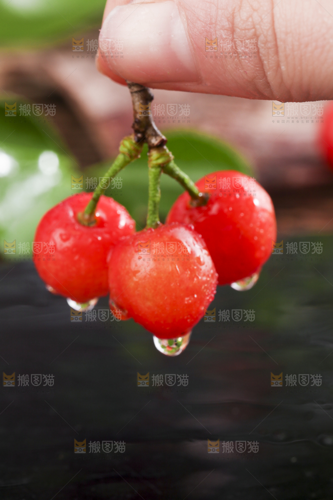 手里拿着黄樱桃