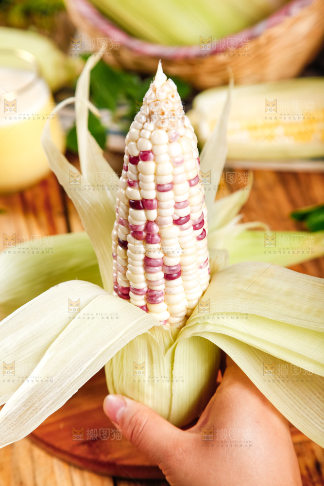 手里拿着剥皮的花玉米