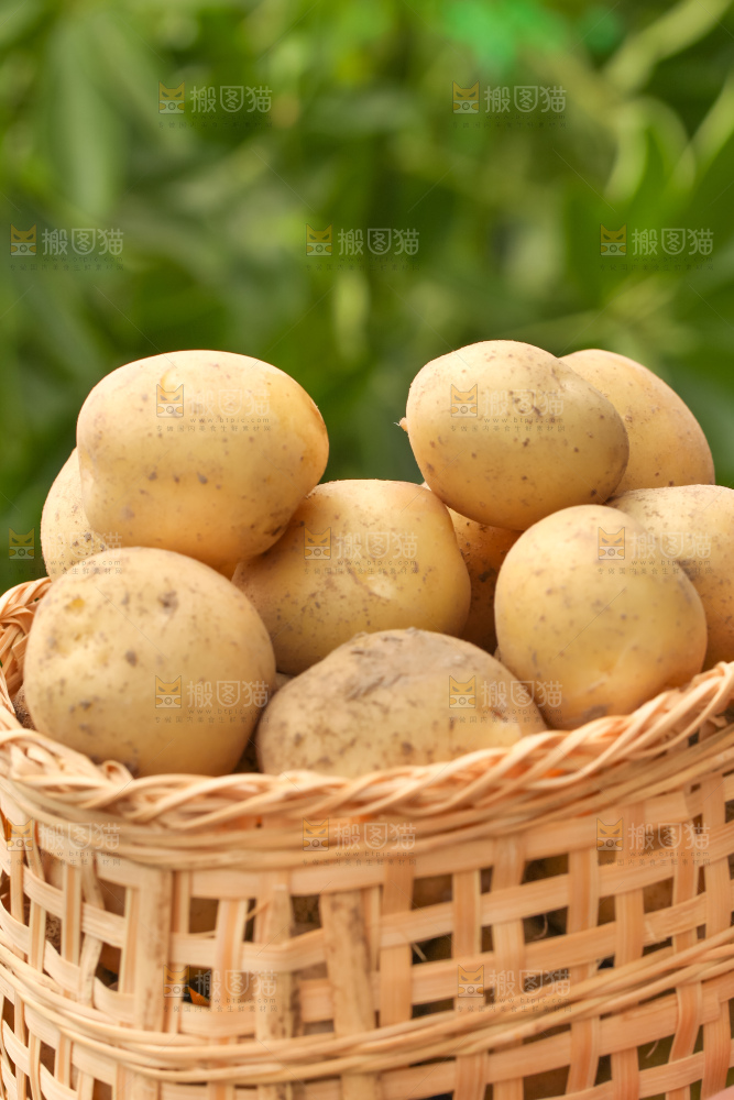 竹篮里放着云南小土豆