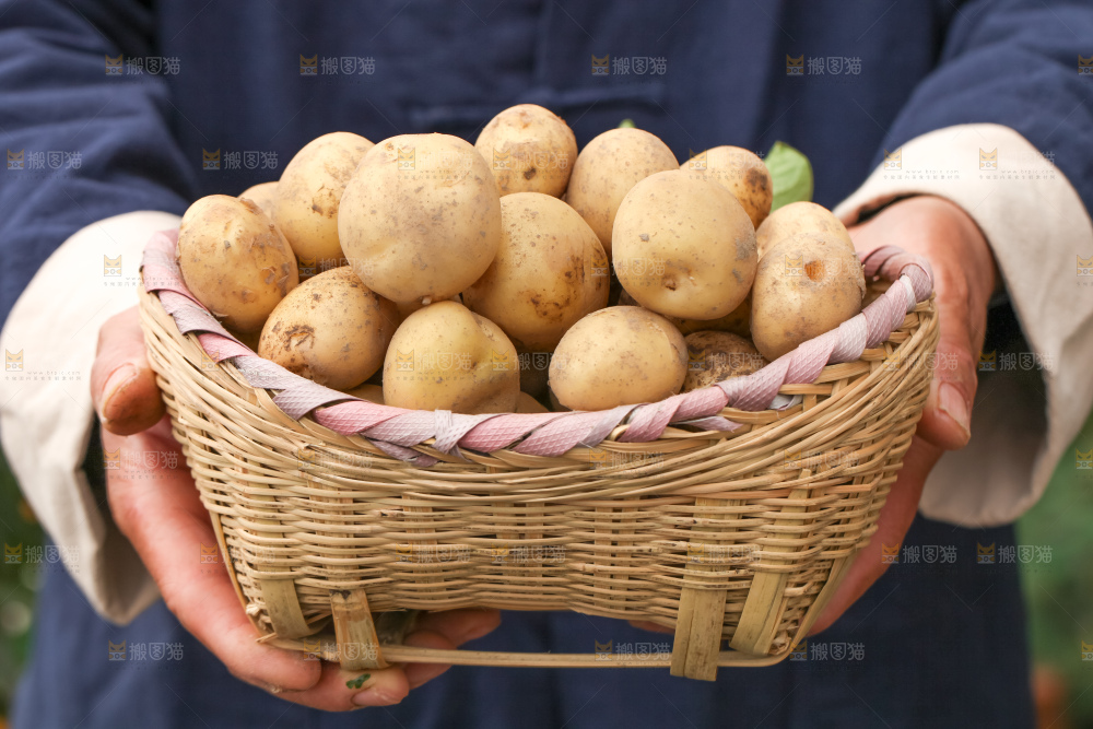 竹篮里放着云南小土豆
