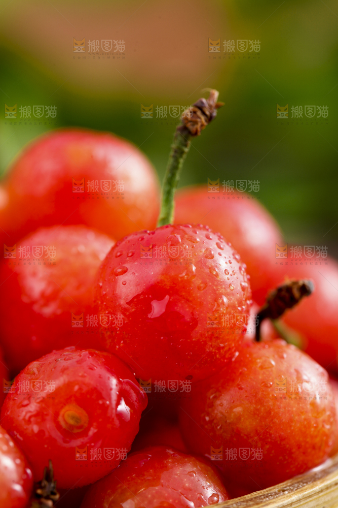 竹篮里装着水晶樱桃