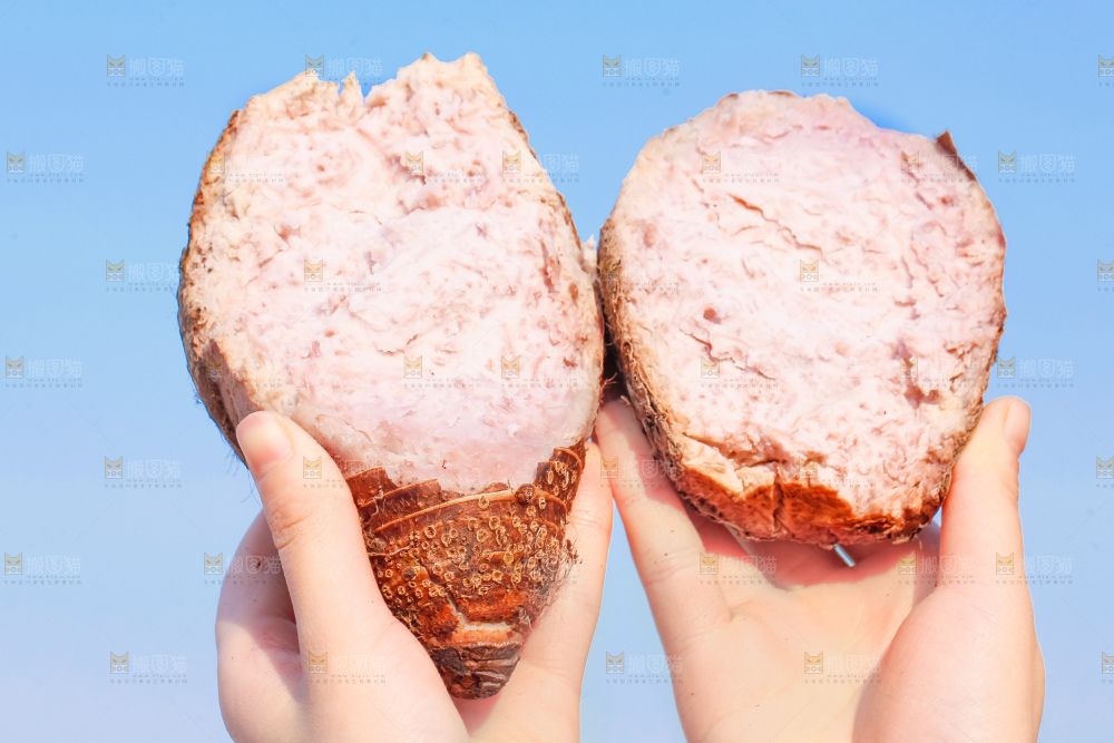 手里拿着紫藤芋头