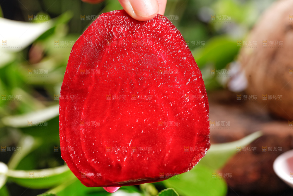 手里拿着甜菜根