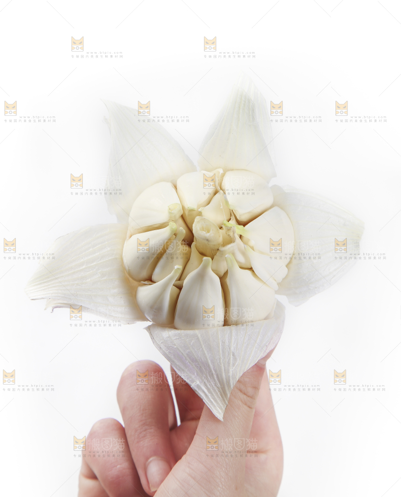 手里拿着紫皮蒜