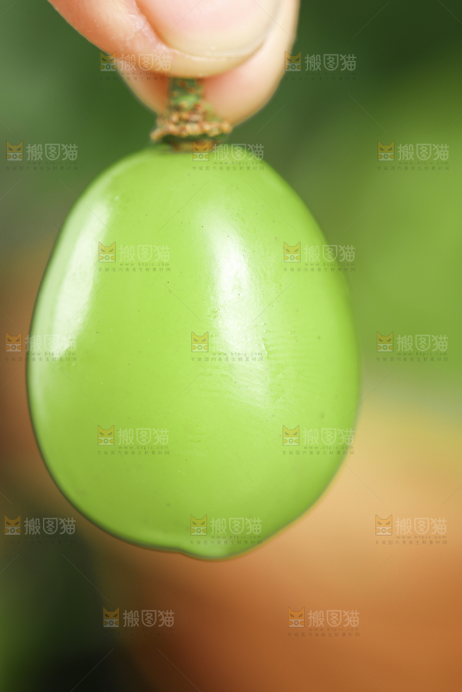 手里拿着无籽青提