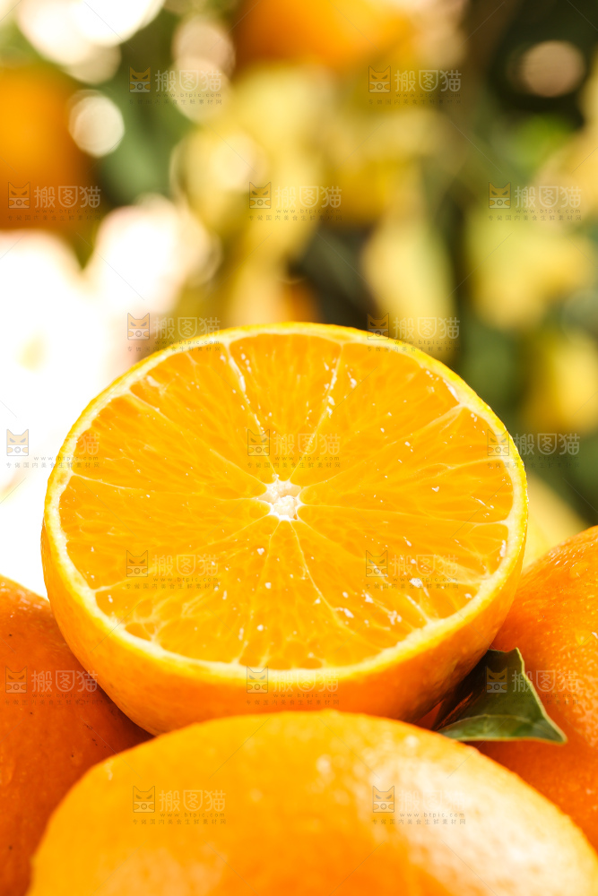 叶子上的新鲜脐橙