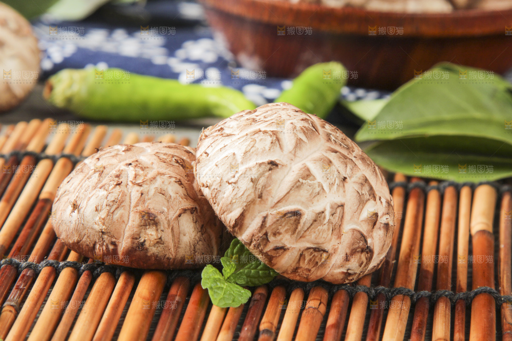 竹垫子上放着新鲜花菇