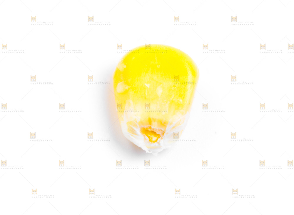 白底上的甜玉米