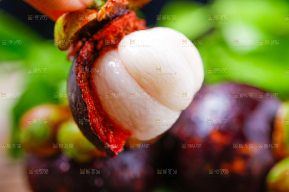 手拿剥皮的山竹