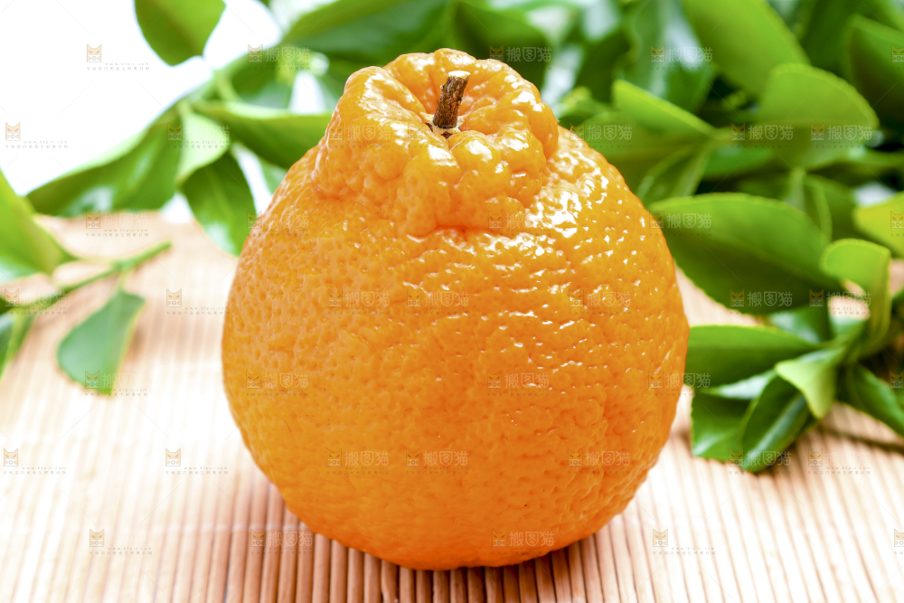 木底上放着新鲜丑橘