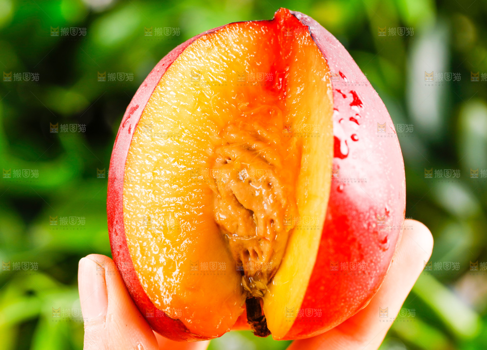 手拿黄心油桃