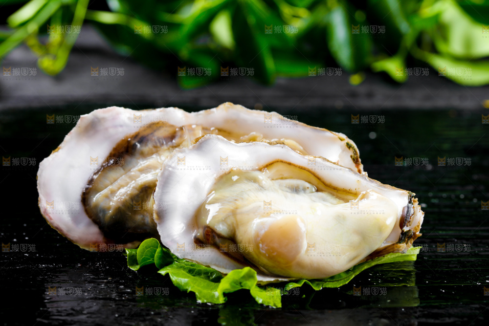 深底上放着牡蛎