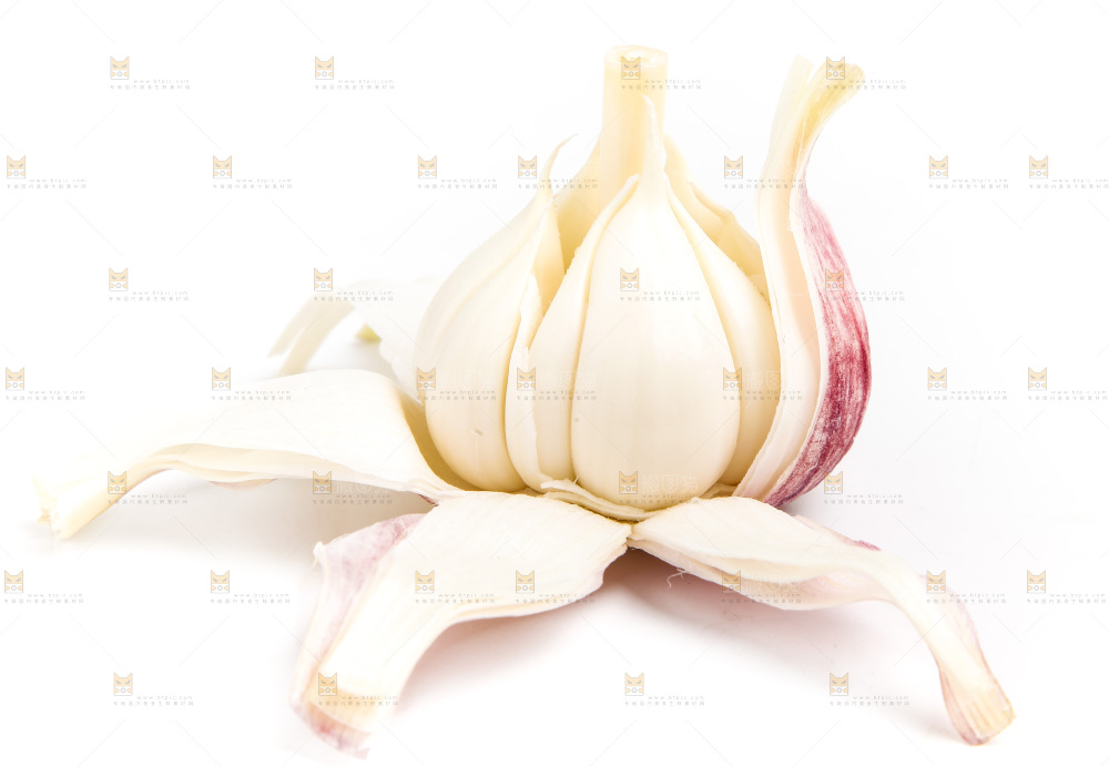 白底上的大蒜