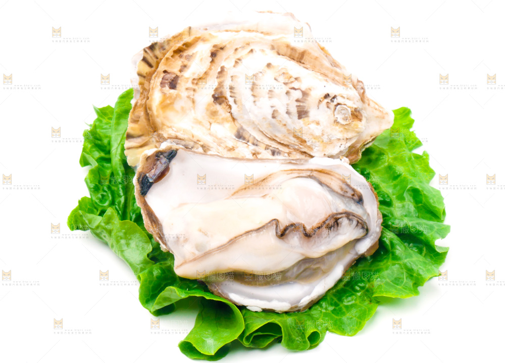 白底上放着乳山生蚝