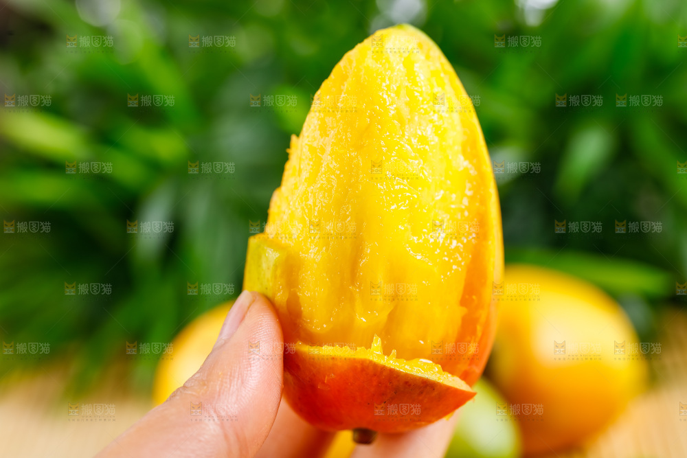手拿新鲜彩芒