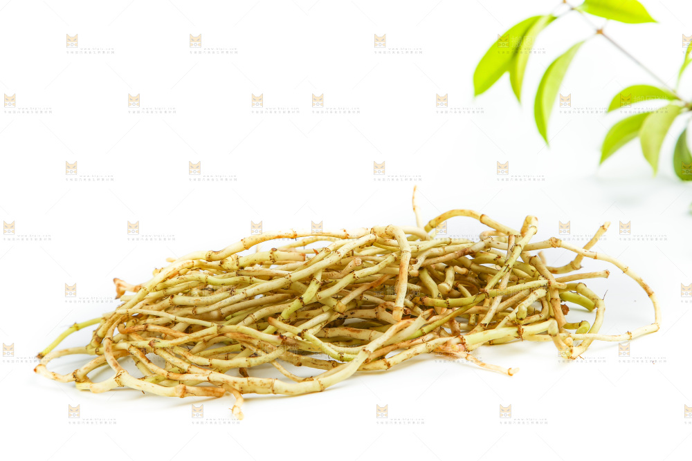 白底上的折耳根