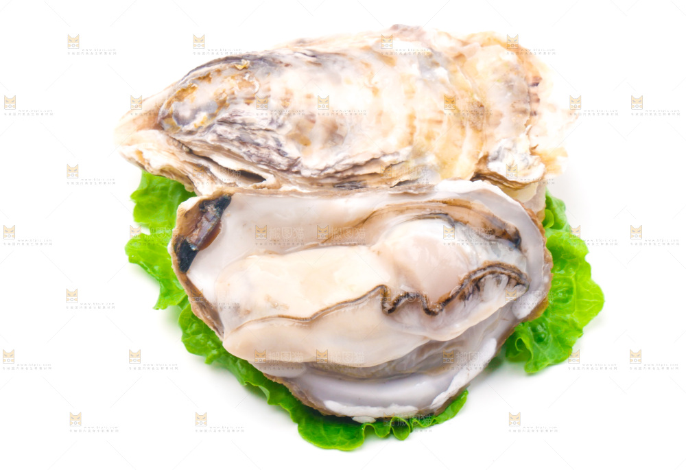 白底上放着乳山生蚝