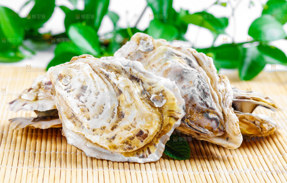 木底上放着海蛎子