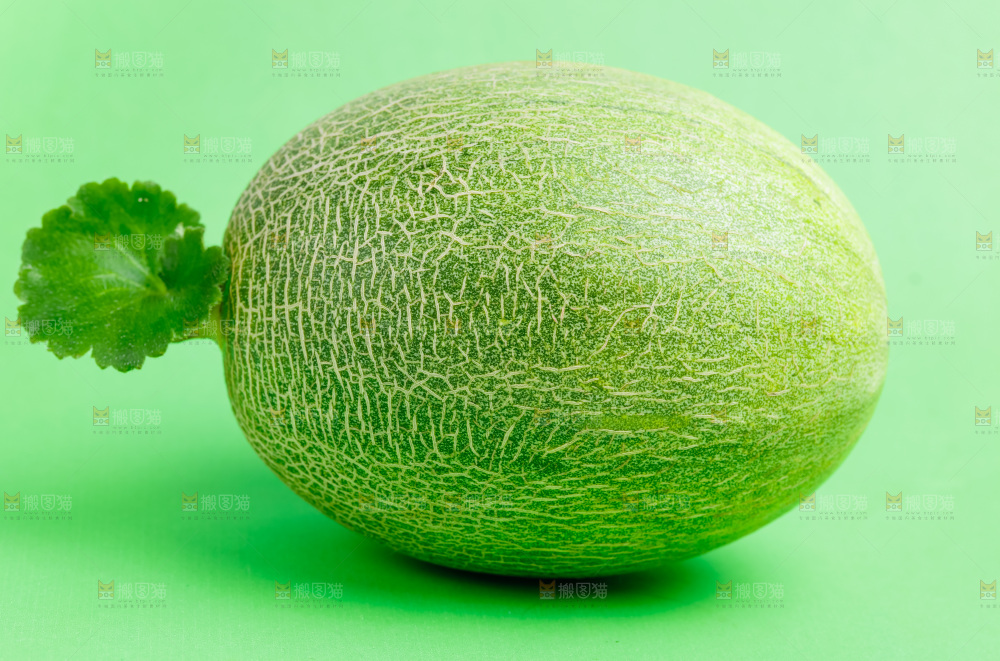 浅底上的哈密瓜