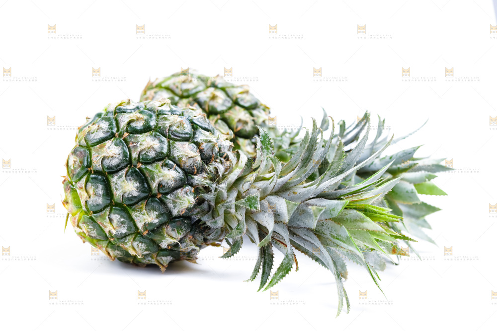 白底上的菠萝