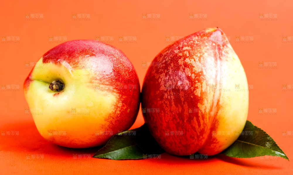 浅底上的新鲜油桃