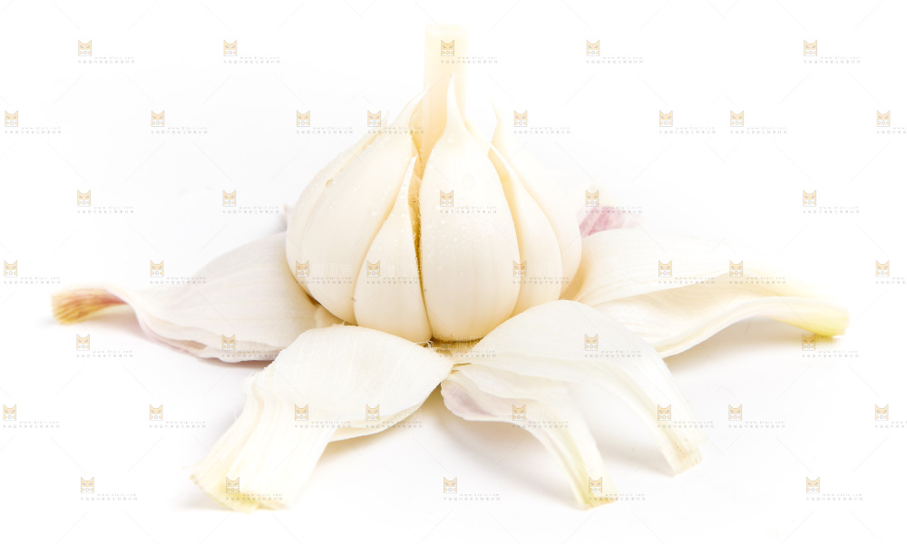 白底上的大蒜
