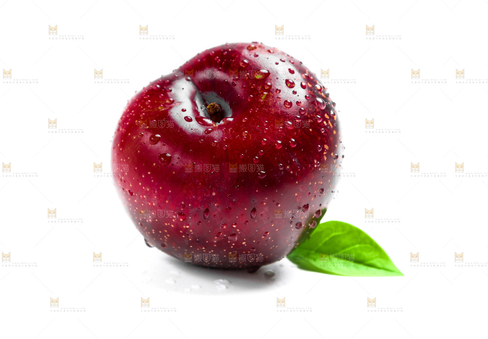 白底上的黑布林