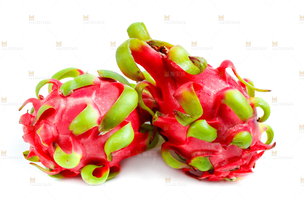 白底上的火龙果