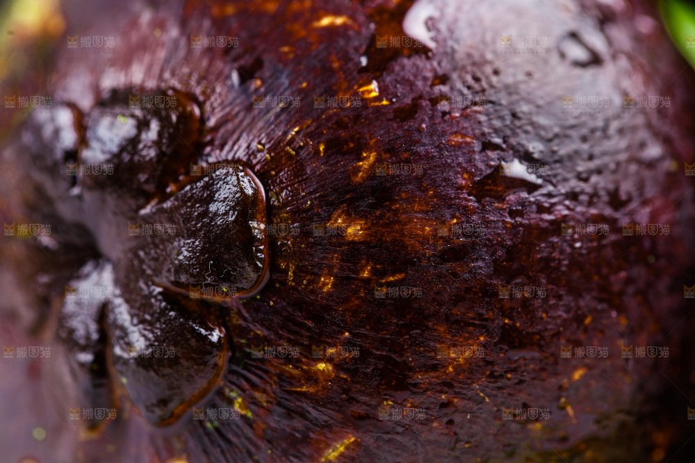 白底上放着泰国山竹