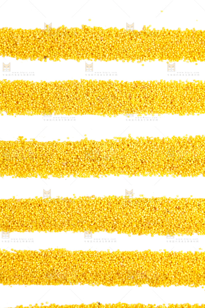 白底上放着新鲜黄小米