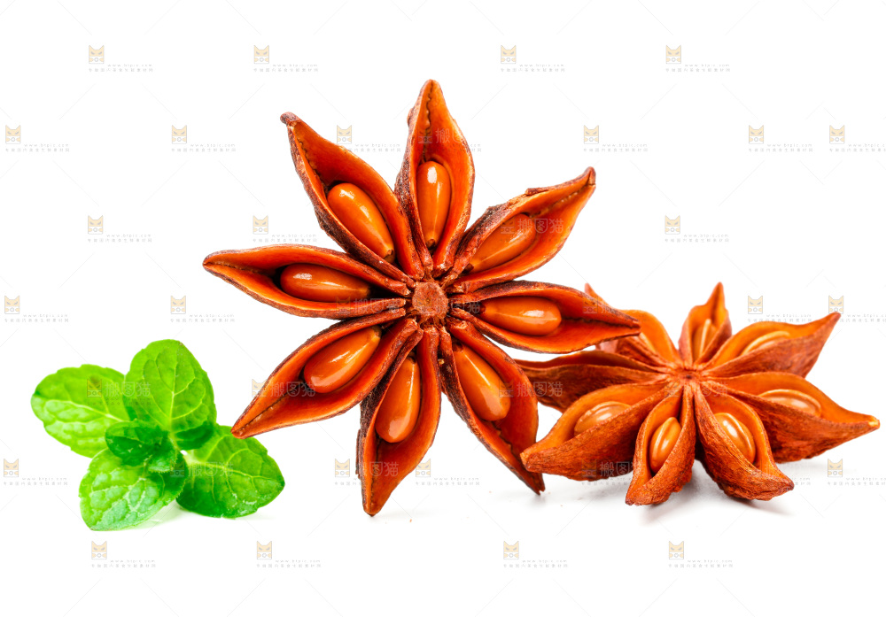 广西八角放在白底上